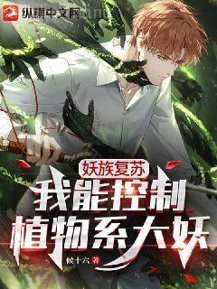 重生之完美人生