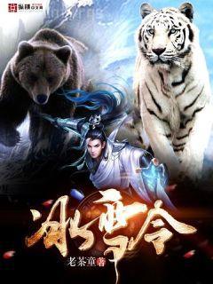 失憶掉馬后我成了陸爺的小嬌嬌